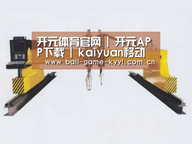 产品名称十七